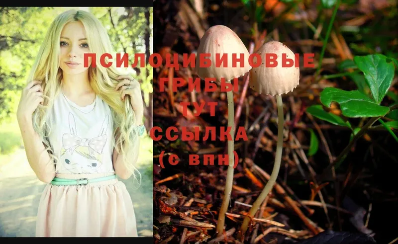 Псилоцибиновые грибы GOLDEN TEACHER  OMG ССЫЛКА  Сорочинск 