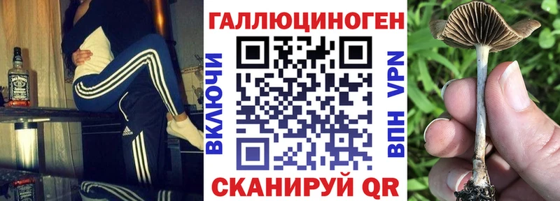 ссылка на мегу как войти  даркнет сайт  Сорочинск  Псилоцибиновые грибы Magic Shrooms 