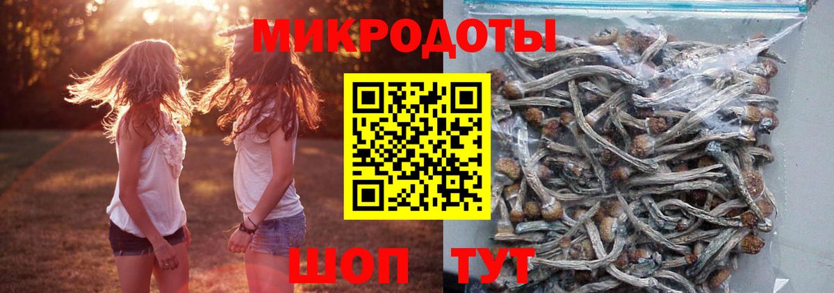 Сорочинск  Галлюциногенные грибы Psilocybe  Вход с VPN 
